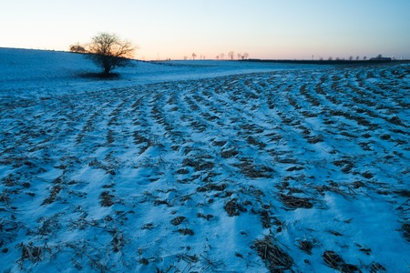Beautiful winter field landscape. European fields at snowy winter and sunny day.の写真素材