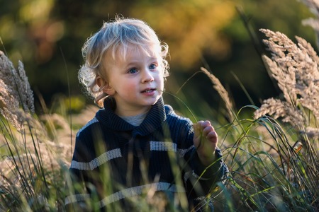 Happy little boy playing outdoor in beautiful autumn scenery.の写真素材
