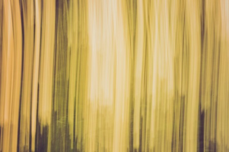 Nature bokeh background with vintage colors effect.の写真素材