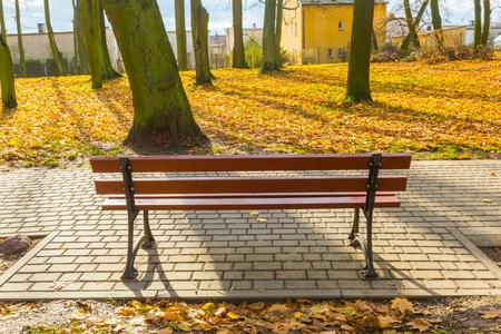 Bench in autumnal park in small polish city.の写真素材