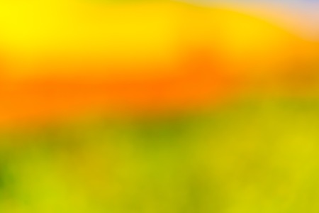 Color blurry background.の写真素材