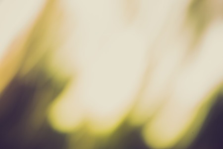 Nature bokeh background with vintage colors effect.の写真素材