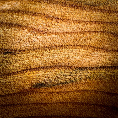 Destroyed wood background with texture in close up.の写真素材