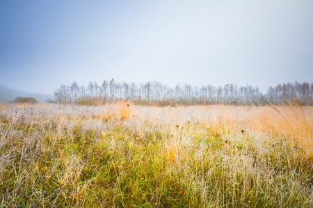Frosty morning landscape. Early winter landscape with meadow and hoarfrostの写真素材