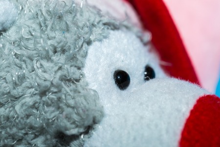 Close up of toy eye. Piece of cuddly toy face in big close up.の写真素材