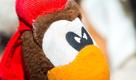 Close up of toy eye. Piece of cuddly toy face in big close up.の写真素材