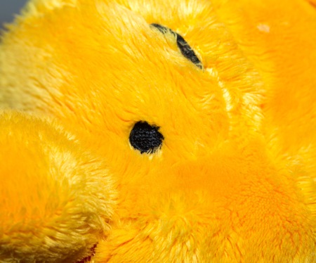 Close up of toy eye. Piece of cuddly toy face in big close up.の写真素材