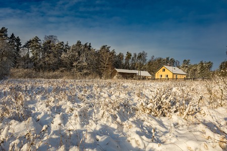 Winter sunrise landscape with fresh snow and house. Snow covered countryside with trees.の写真素材