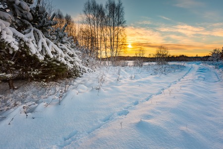 Beautiful winter field and trees landscape. Snow covered polish landscape.の写真素材