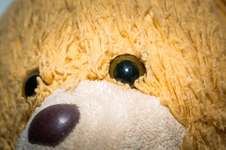 Close up of toy eye. Piece of cuddly toy face in big close up.の写真素材