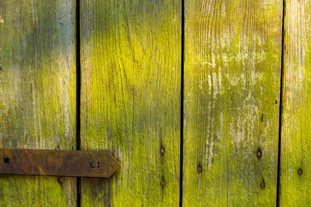 Wooden planks background. Close up of natural old wooden planks of old doors.の写真素材