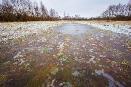 Winter meadow with frozen water. Bad weather winter landscape taken in Poland.の写真素材