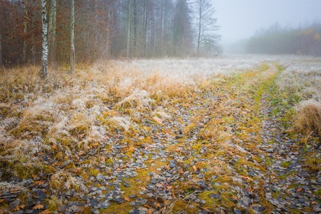 Frosty morning landscape. Early winter landscape with meadow and hoarfrostの写真素材