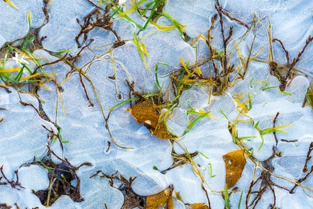 Ice on water texture. Close up of winter frozen water surface.の写真素材