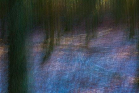 Abstract forest photo. Long exposure blurry autumn or winter forest.