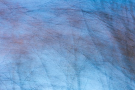 Park abstraction. Long exposure abstraction with movement effect.の写真素材