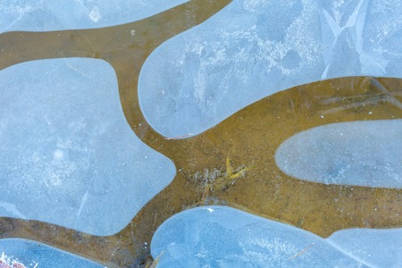Ice on water texture. Close up of winter frozen water surface.の写真素材