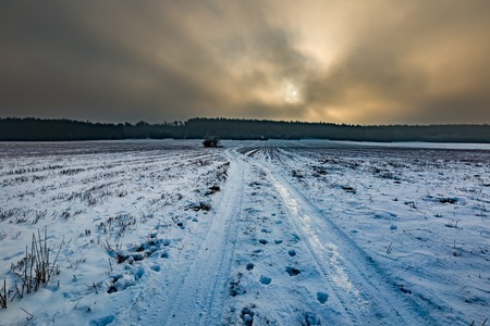 Winter snowy fields and foggy day. Beautiful european winter landscape.の写真素材