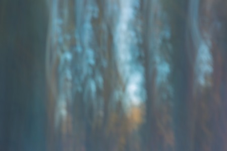 Abstract forest photo. Long exposure blurry autumn or winter forest.の写真素材