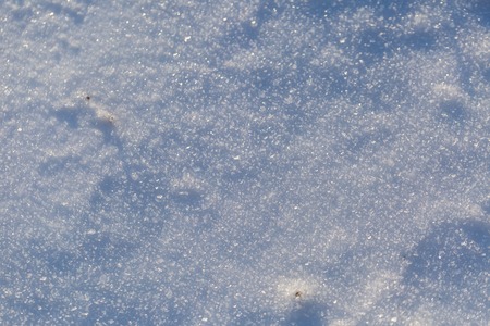 Snow background in close up. Surface of fresh winter snow in sunset ligh.の写真素材