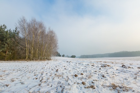 Winter sunrise on meadows. Polish typical winter rural landscape. Calm day beginning. の写真素材