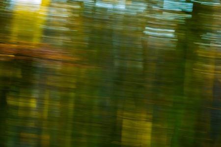 Abstract forest photo. Long exposure blurry autumn or winter forest.の写真素材