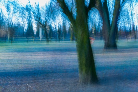Park abstraction. Long exposure abstraction with movement effect.の写真素材