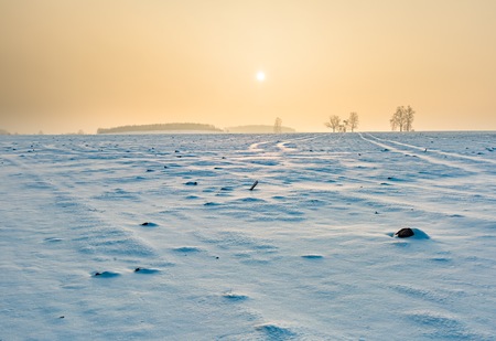 Winter snowy fields and foggy day. Beautiful european winter landscape.の写真素材