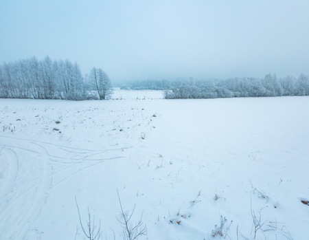 Winter foggy landscape in polish countryside. Bad cloudy weather and hoarforst on trees.の写真素材