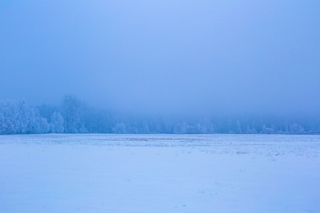 Winter foggy fields near forest landscape. Calm cloudy weather in snowy winter. の写真素材