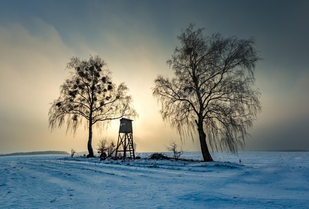Winter snowy fields and foggy day. Beautiful european winter landscape with raised hide.の写真素材