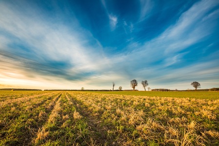 Early spring fields at sunset. Natural landscape of polish countryside.