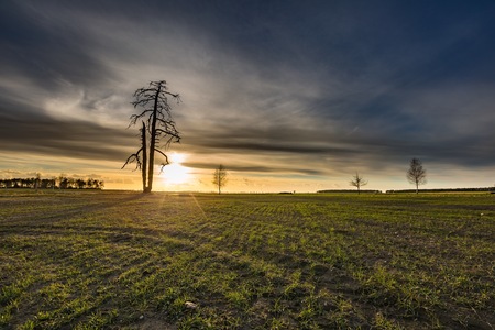Early spring fields at sunset. Natural landscape of polish countryside.の写真素材