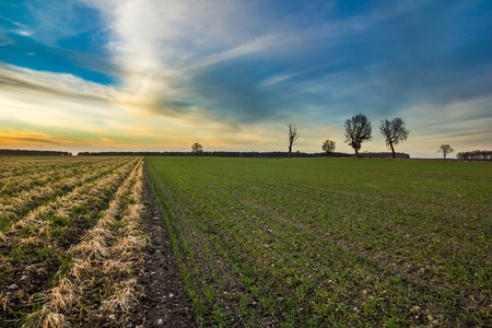 Early spring fields at sunset. Natural landscape of polish countryside.の写真素材
