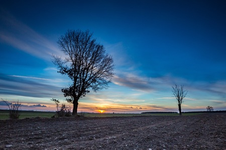 Early spring fields at sunset. Natural landscape of polish countryside.の写真素材