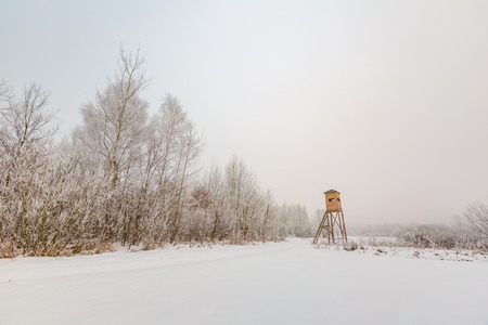 Winter foggy landscape in polish countryside. Bad cloudy weather and hoarforst on trees.の写真素材