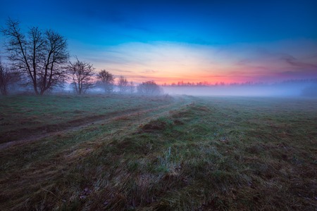 Beautiful foggy morning on early spring polish meadow. Dreamy foggy meadow landscape.の写真素材