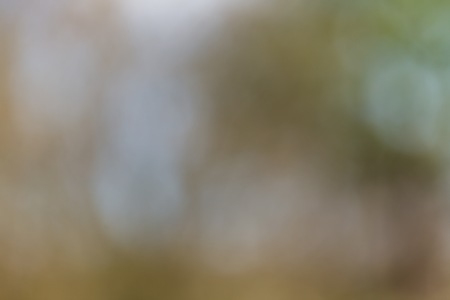 Blurry landscape background. Bokeh backdrop with defocused landscape.の写真素材