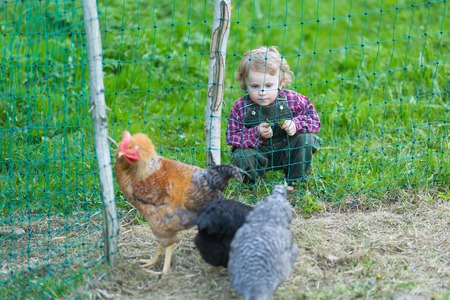 Caucasian baby boy posing with hen. Happy child on farm.の写真素材