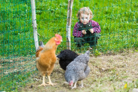 Caucasian baby boy posing with hen. Happy child on farm.の写真素材