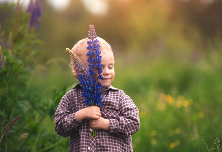 Young boy holding lupinus flowers in outdoor in spring scenery. Happy caucasian child.の写真素材