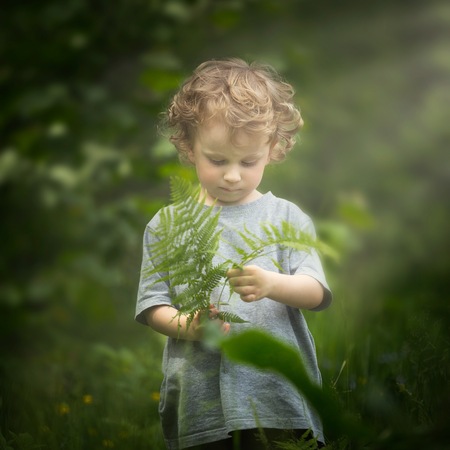 Happy little boy playing outdoor in summer forest. Caucasian blonde boy.の写真素材