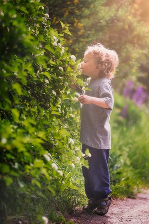 Happy little boy playing outdoor in summer forest. Caucasian blonde boy.の写真素材