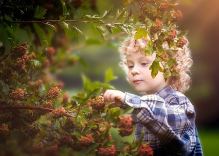 Young boy with curly hair playing outdoor. Healthy lifestyle. Boy take care of plants in garden.の写真素材