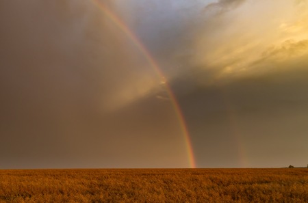 Beautiful rainbow over fields. Natural landscape with rainbow.の写真素材