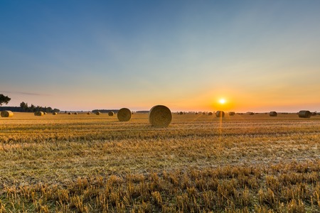 Summer landscape with stubble field and rolled bales of straw.