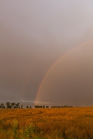 Beautiful rainbow over fields. Natural landscape with rainbow.の写真素材