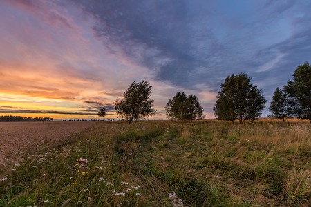 Beautiful spectacular sunset sky over meadows and fields. Sunset sky over landscape.の写真素材