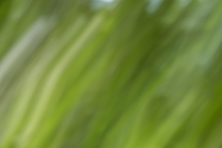 Artistic bokeh smudge background. Long exposure bokeh with motion effect.の写真素材