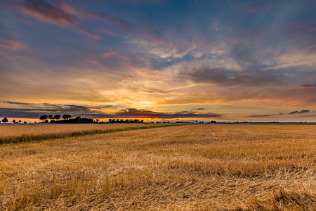 Spectacular sunset over stubble field. Polish countryside after harvest.の写真素材